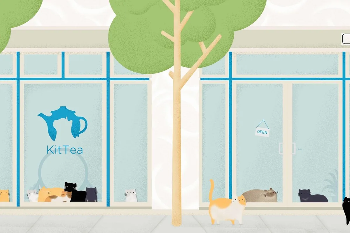 Cat cafes in San Jose