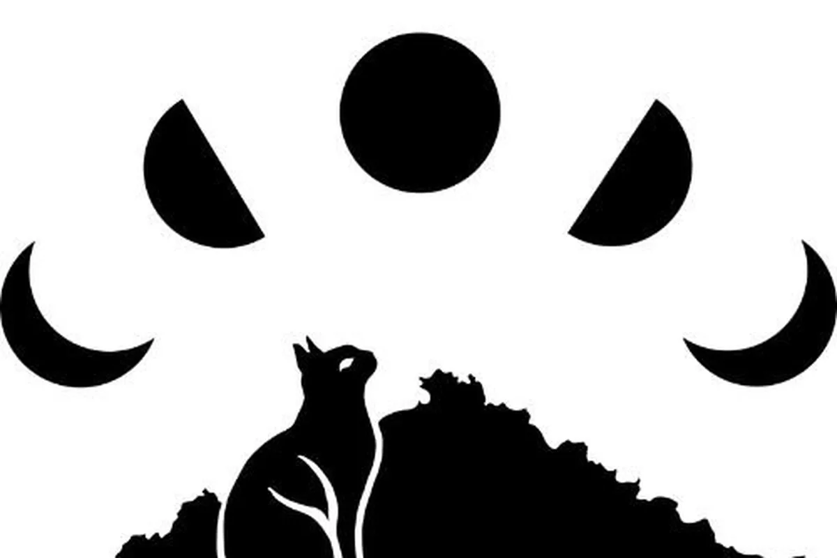 Luna Cat Collective