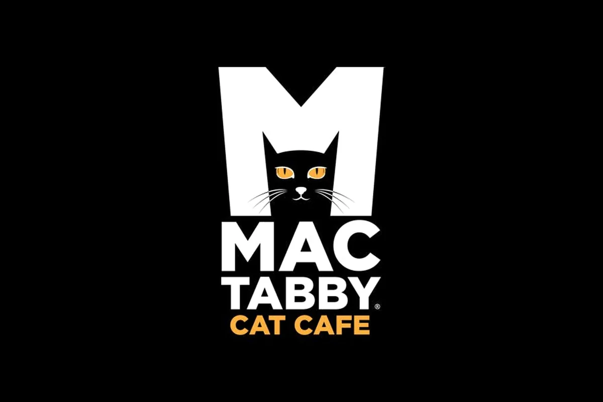 Mac Tabby Cat Cafe - Concord — cat cafe in Charlotte, North Carolina
