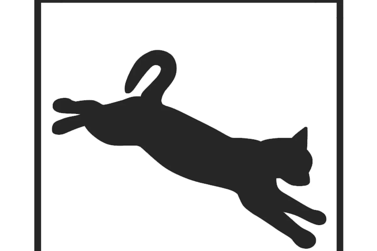 Pounce Cat Cafe