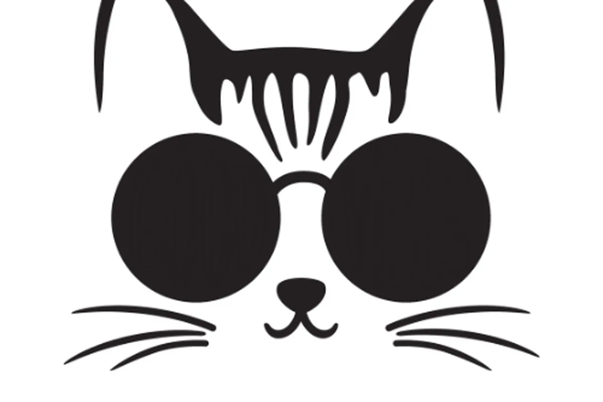Cat cafes in Austin