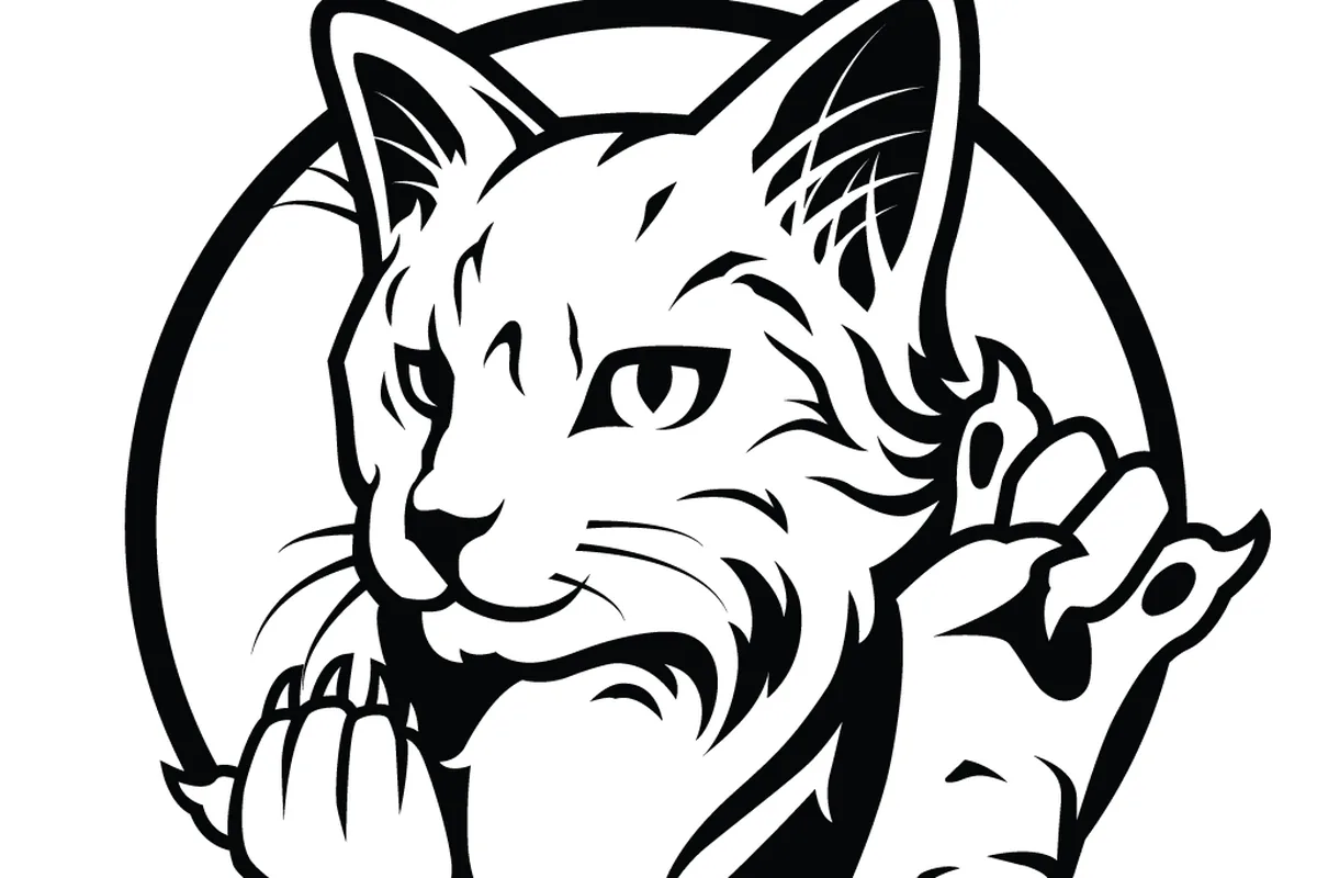 Rockin' Cat Organic Cafe & Roastery — cat cafe in Pittsburgh, Pennsylvania