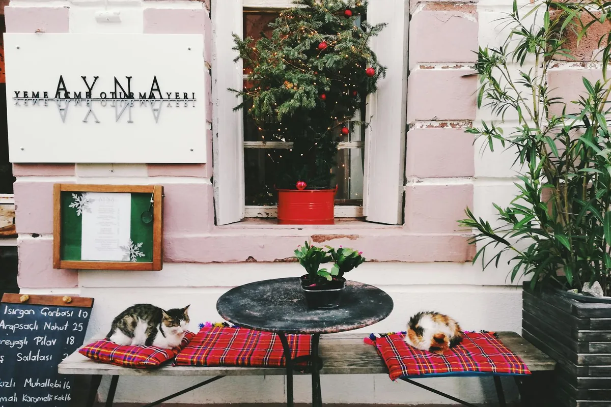 Tinker's Cat Café